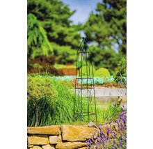 Obelisk Rankhilfe aus Metall im Garten