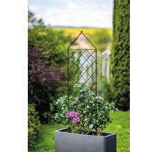 Pflanzkasten mit Kletterhilfe im Garten