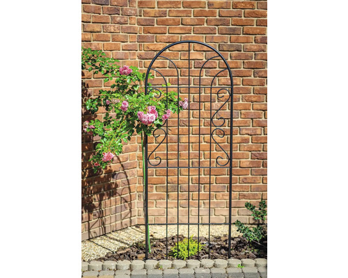 Metall Rankhilfe mit Rosen vor einer Backsteinmauer