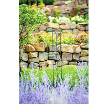 Gartenszene mit Pflanzenstütze vor Steinmauer