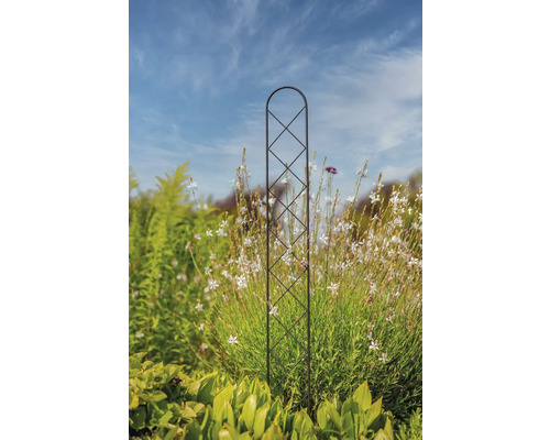 Rankhilfe aus Metall im Garten zwischen Pflanzen