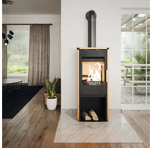 Kaminofen im Wohnzimmer mit Holzscheiten und Feuer