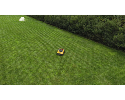 Rasenmäherroboter auf einer Rasenfläche