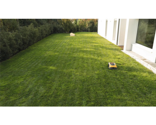 Rasen mit Rasenmähroboter neben einem modernen Haus