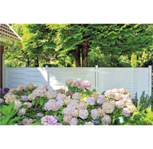 Garten mit Zaun und Hortensien