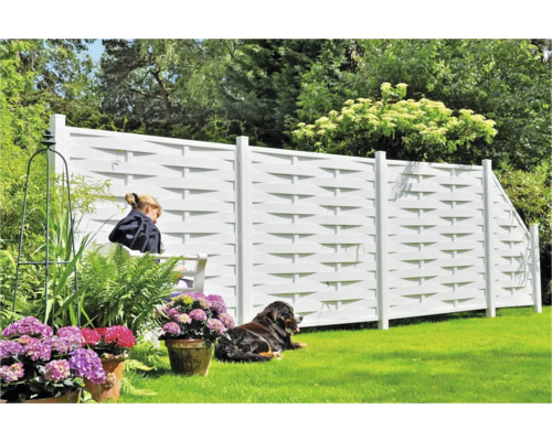 Gartenszene mit Sichtschutzzaun, Frau sitzt auf einer Bank, Hund liegt im Gras