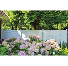 Gartenansicht mit weißem Sichtschutzzaun und blühenden Hortensien