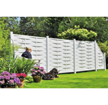 Gartenszene mit Zaun, sitzender Frau, Hund, Blumen und Grünpflanzen.