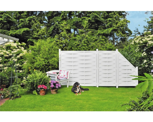 Gartenszene mit weißem Zaun, Sitzbank und Hund