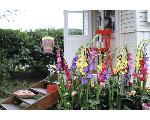 Dekorativer Garten mit Gladiolen, Sitzgelegenheit und Treppe
