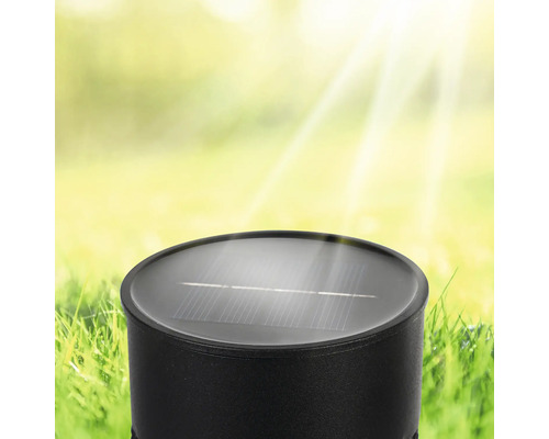 Solarleuchte für den Garten