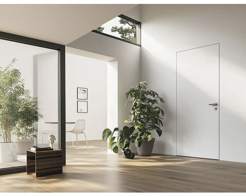 Heller Raum mit Tür, Zimmerpflanzen und Holzboden