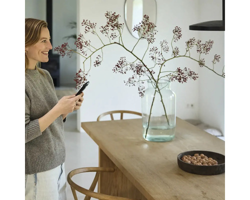 Helle Inneneinrichtung mit Frau, die ein Smartphone hält, Holztisch mit Dekoration, Glasvase und Stühlen.