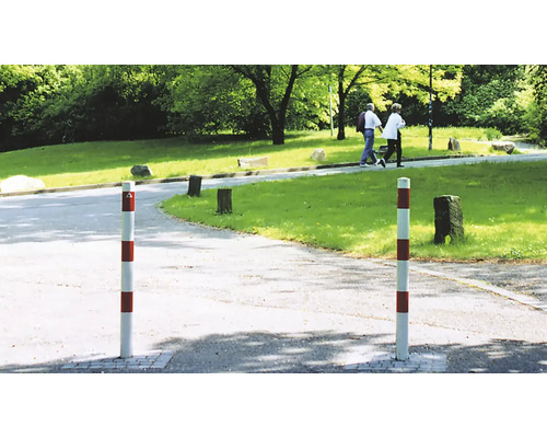 Verkehrspfosten zur Fahrbahnbegrenzung in einer Parkanlage