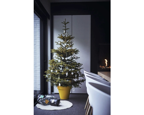 Geschmückter Weihnachtsbaum im Topf mit Geschenken im Innenraum
