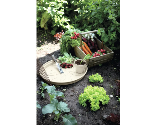 Gemüsegarten mit Radieschen, Karotten, Salat und Pflanzschale