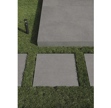 Garten mit Gehwegplatten und Rasen