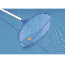 Poolkescher mit Blatt im Schwimmbad