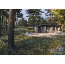 Modernes Gartenhaus mit Holzterrasse in Waldumgebung