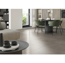 Modernes Wohnzimmer mit Bodenfliesen, Esstisch und Sofa