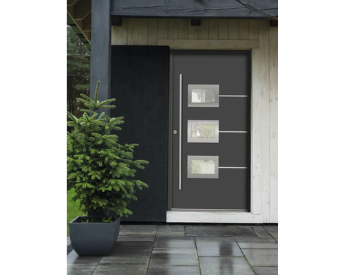 Moderne Haustür mit Glaseinsätzen und Pflanze im Topf vor dem Hauseingang.