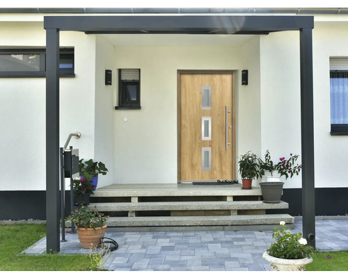 Eingangsbereich eines Hauses mit Haustür, Stufen und Pflanzen