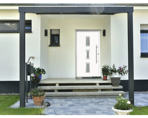 Eingangsbereich eines Hauses mit Haustür, Treppe und Pflanzen