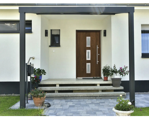 Hauseingang mit Haustür, Überdachung und Pflanzen