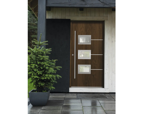 Haustür mit drei Fenstern und Baum im Topf vor dem Haus