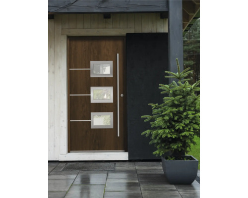 Eingangsbereich mit Haustür mit Glaseinsätzen und modernem Design