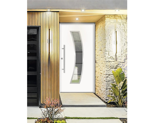 Moderne Haustür mit Glaseinsatz und Edelstahlgriff in Fassade
