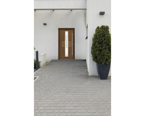 Haustür mit Glaselementen und Pflanzkübel vor dem Haus