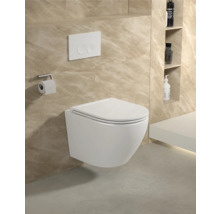 Wandhängendes WC mit Betätigungsplatte und Toilettenpapierhalter in einem Badezimmer mit Regalen
