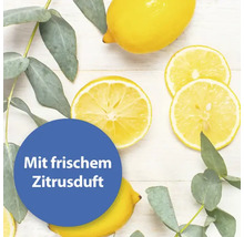 Zitronen und Eukalyptus mit dem Text ''Mit frischem Zitrusduft''