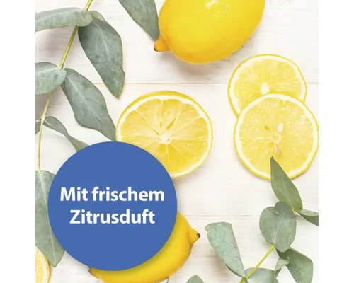 Zitronen und Eukalyptus mit dem Text ''Mit frischem Zitrusduft''