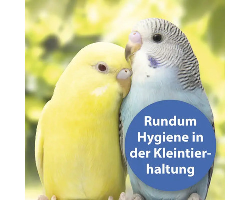 Zwei Wellensittiche: Hygiene in der Kleintierhaltung