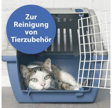 Katze liegt in einer blauen Transportbox für Haustiere
