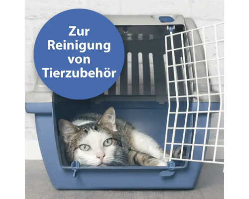 Katze liegt in einer blauen Transportbox für Haustiere