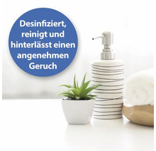 Szene mit Spender für Desinfektionsmittel, Pflanze und Handtuch