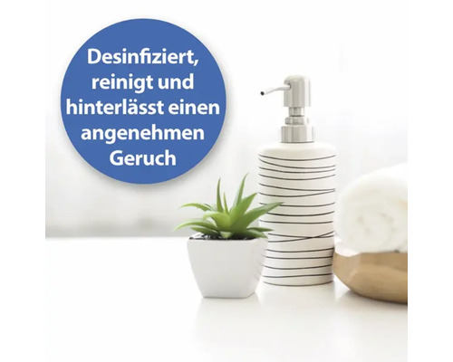 Szene mit Spender für Desinfektionsmittel, Pflanze und Handtuch