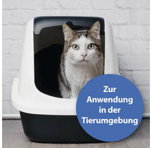 Katze in einer Katzentoilette mit Deckel