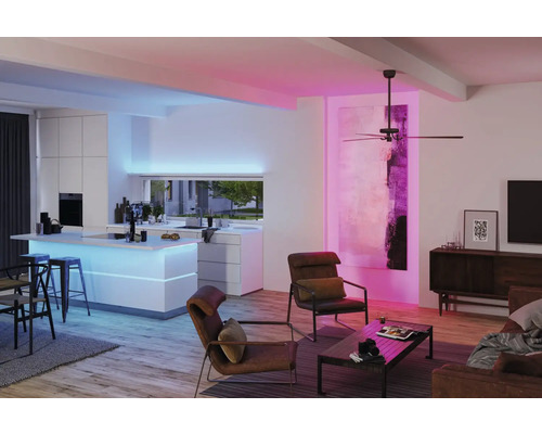 Offener Wohnraum mit Küche, Deckenventilator, Beleuchtung und Möbeln