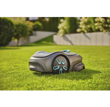 Mähroboter auf Rasen im Garten