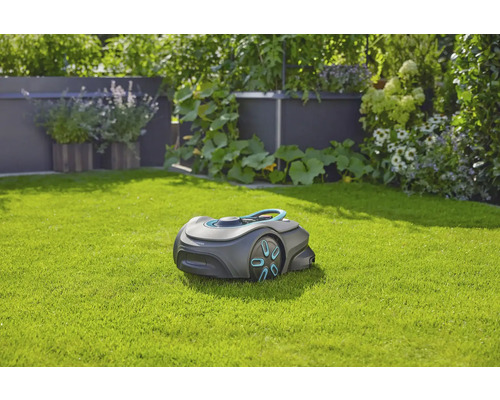 Rasenmähroboter auf Rasenfläche im Garten