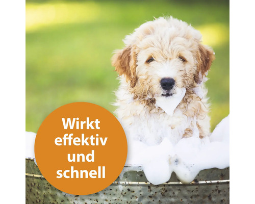 Hund in einer Wanne voller Schaum mit dem Text Wirkt effektiv und schnell