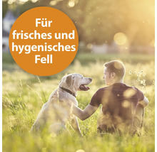 "Mann sitzt mit Hund im Gras