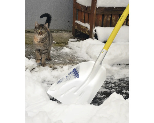 Schneeschaufel im Einsatz mit Katze im Schnee