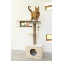 Katze auf Kratzbaum mit Liegeflächen und Spielzeug