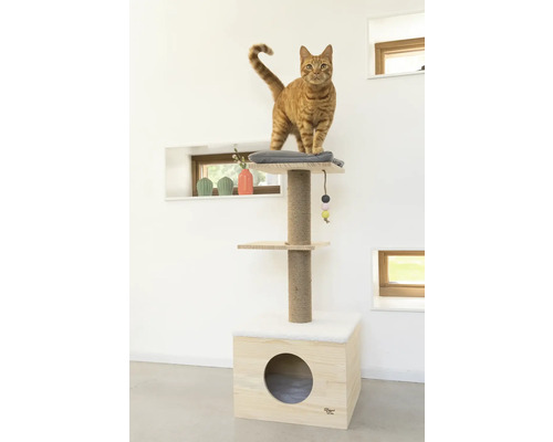 Katze auf Kratzbaum mit Liegeflächen und Spielzeug