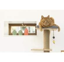 Katze liegt auf einem Kratzbaum mit Sisalstamm und Spielzeug